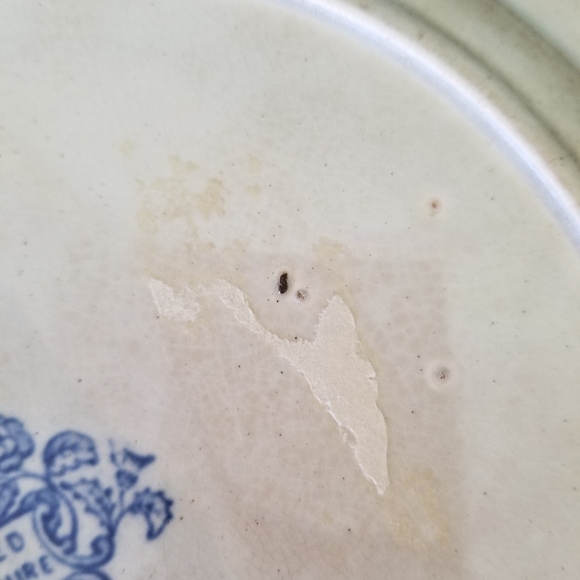 Two Staffordshire Antique Plates. - Picture 10 of 16